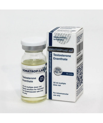 Testosterone Enanthate Somatrop-Lab